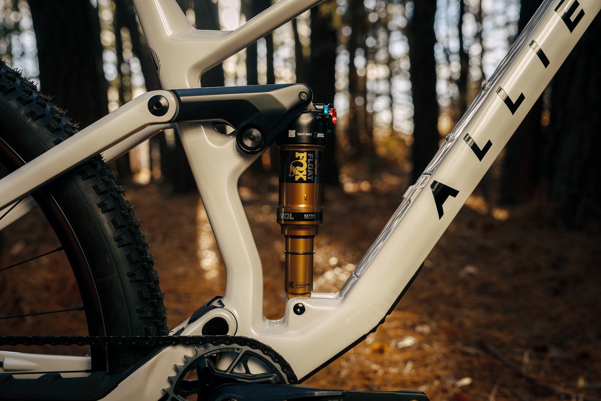 FITZ SRAM XO Transmission Bike