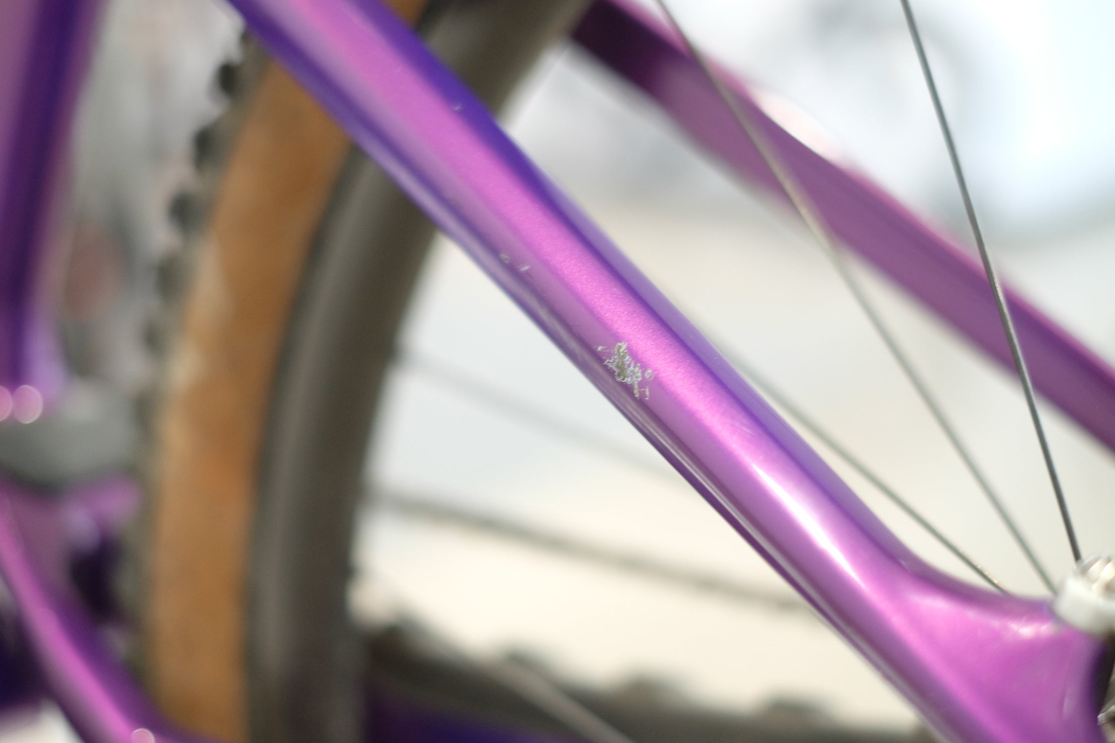 FITZXX SL - Purple Velvet