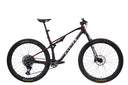 Large BC40 XO - DEMO