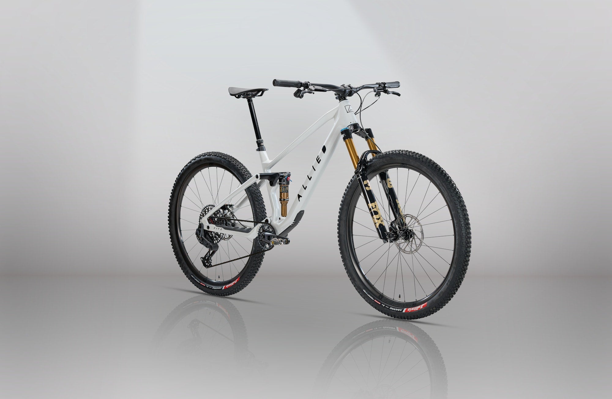 mountainbike x trail FITZ X0 | High-End Performance Carbon Trail Bike